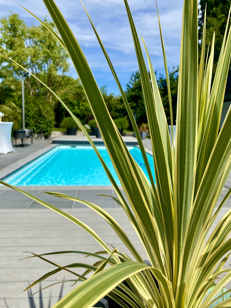 Au Prestige du Clothaire